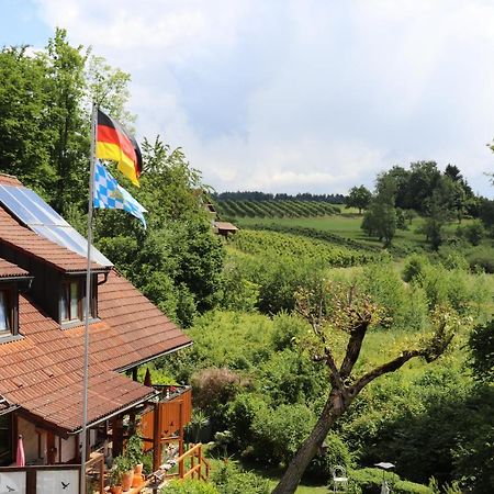 Wohnung #5 Mit Balkon - Zentrale Dennoch Ruhige Lage Mit Terrasse - Stadtbus Vor Der Tuer! Lindau  Dış mekan fotoğraf