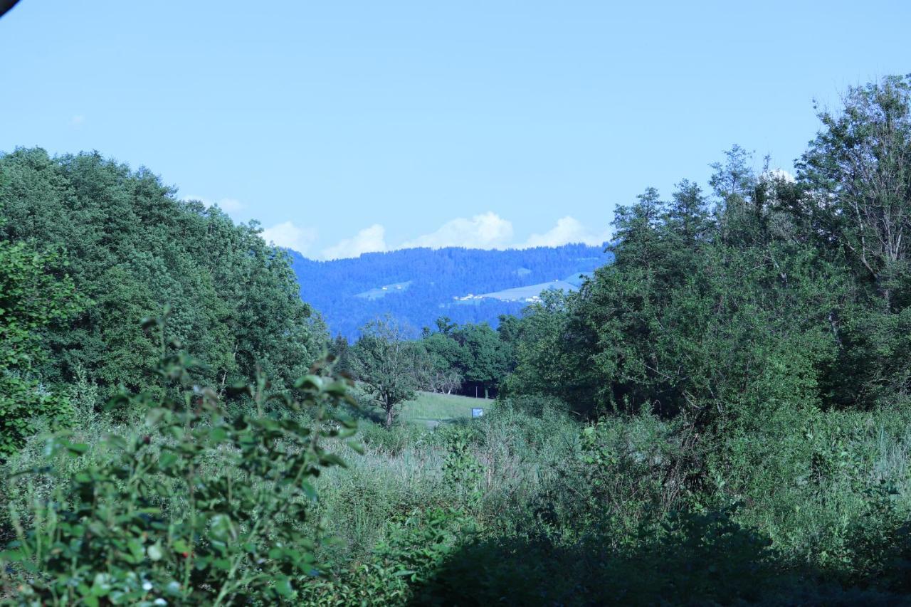Wohnung #5 Mit Balkon - Zentrale Dennoch Ruhige Lage Mit Terrasse - Stadtbus Vor Der Tuer! Lindau  Dış mekan fotoğraf